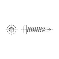 Samovrtná skrutka TEX TORX 5,5x19 DIN7504N Zn