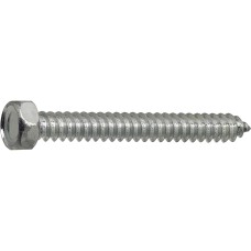 Skrutka do plechu 6 hranná 8,0x25 DIN7976C Zn