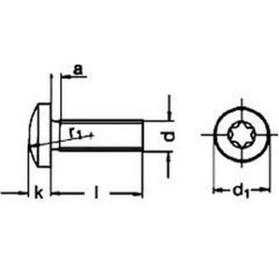 Skrutka s poľgulatou hlavou TX M6x14 DIN7985 Zn
