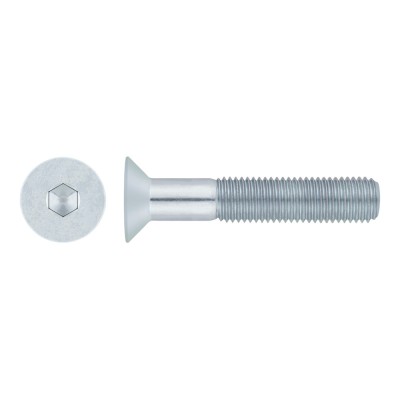 Skrutka so zapus. hlavou IMB 10.9 M14x70 DIN7991 Zn