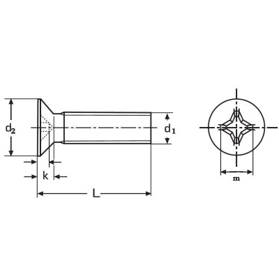 Skrutka PH 4.8 M2x16 DIN965 Zn